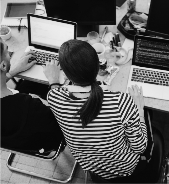 Employees working on laptops